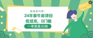 24年最牛新项目，低成本，0门槛 ，一单就是30块，轻松月入1w-网创资源