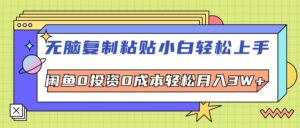 （12258期）无脑复制粘贴，小白轻松上手，电商0投资0成本轻松月入3W+-网创资源