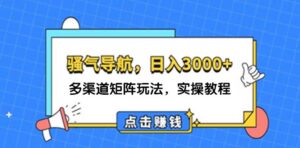 （12255期）日入3000+ 骚气导航，多渠道矩阵玩法，实操教程-网创资源