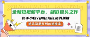 全新短视频平台，新手小白入局初期红利的关键，想吃初期红利的速度来-网创资源
