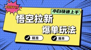 悟空拉新爆单玩法，精准引流，小白分分钟上手-网创资源
