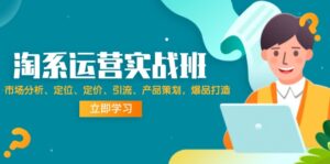 （12186期）淘系运营实战班：市场分析、定位、定价、引流、产品策划，爆品打造-网创资源
