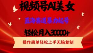 （12178期）视频号AI美女跳舞，轻松月入30000+，蓝海赛道，流量池巨大，起号猛，当…-网创资源