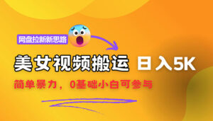 （12177期）【新思路】视频搬运+网盘拉新，靠搬运每日5000+简单暴力，0基础小白可参与-网创资源