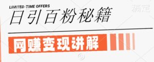 最新闲鱼引流创业粉，日引100+，网创项目虚变现讲解【揭秘】-网创资源