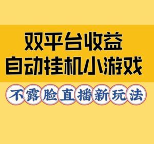双平台收益自动挂JI小小游戏，不露脸直播新玩法-网创资源