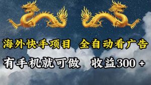 （12175期）海外快手项目，利用工具全自动看广告，每天轻松 300+-网创资源