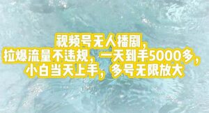 （12166期）视频号无人播剧，拉爆流量不违规，一天到手5000多，小白当天上手，多号…-网创资源