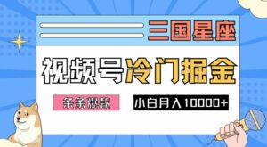 2024视频号三国冷门赛道掘金，条条视频爆款，操作简单轻松上手，新手小白也能月入1w-网创资源