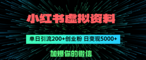 （12164期）小红书虚拟资料日引流200+创业粉，单日变现5000+-网创资源
