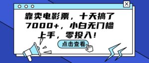 （12161期）靠卖电影票，十天搞了7000+，小白无门槛上手，零投入！-网创资源