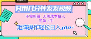 （12159期）只用几分钟发发视频，不需剪辑，无需成本投入，简单上手，矩阵操作轻松…-网创资源