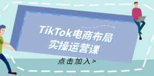 （12156期）TikTok电商布局实操运营课：从新手到精通，成为TikTok带货运营高手-网创资源