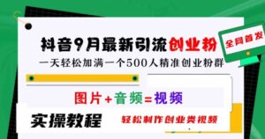 抖音9月最新引流创业粉，轻松制作创业类视频，一天轻松加满一个500人精准创业粉群【揭秘】-网创资源