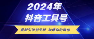 （12149期）24年抖音最新工具号日引流300+创业粉，日入5000+-网创资源