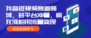 抖音短视频赛道领域，多平台冲量，疯狂涨粉用流量变现-网创资源