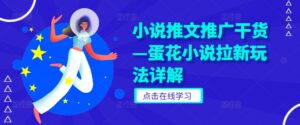 小说推文推广干货—蛋花小说拉新玩法详解-网创资源