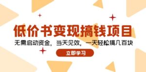 （12134期）低价书变现搞钱项目：无需启动资金，当天见效，一天轻松搞几百块-网创资源