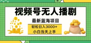（12128期）视频号无人播剧，轻松日入3000+，最新蓝海项目，拉爆流量收益，多种变…-网创资源