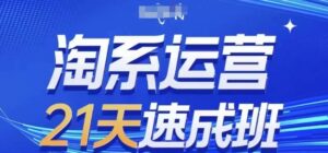 淘系运营21天速成班(更新24年9月)，0基础轻松搞定淘系运营，不做假把式-网创资源