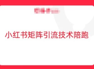 小红书矩阵引流技术，教大家玩转小红书流量-网创资源