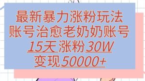 最新暴力涨粉玩法，治愈老奶奶账号，15天涨粉30W，变现至少五位数+-网创资源