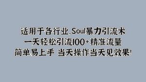 Soul暴力引流术，一天轻松引流100+精准流量，简单易上手 当天操作当天见效果!-网创资源