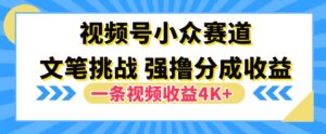 视频号新赛道之文笔挑战，强撸分成收益，一条视频赚了4K+-网创资源