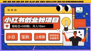 小红书创业粉项目日+500粉，每天20分钟躺赚长尾收益，无脑操作，宝妈，小白抓紧冲【揭秘】-网创资源