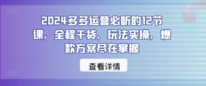 2024多多运营必听的12节课，全程干货，玩法实操，爆款方案尽在掌握-网创资源