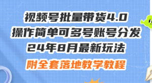 （12093期）24年8月最新玩法视频号批量带货4.0，操作简单可多号账号分发，附全套落…-网创资源