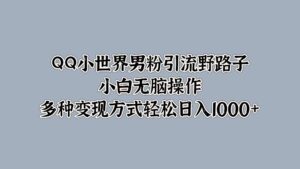 QQ小世界男粉引流野路子，小白无脑操作，多种变现方式-网创资源