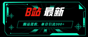 （12085期）B站最新，搬运混剪，单日引流300+创业粉-网创资源