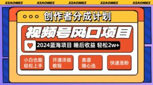 （12084期）微信视频号大风口项目 轻松月入2w+ 多赛道选择，可矩阵，玩法简单轻松上手-网创资源