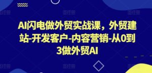 AI闪电做外贸实战课，​外贸建站-开发客户-内容营销-从0到3做外贸AI（更新）-网创资源