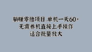 躺赚零撸项目，单机一天60+，无需养机直接上手操作，适合批量放大-网创资源