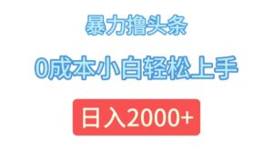 （12068期）暴力撸头条，0成本小白轻松上手，日入2000+-网创资源