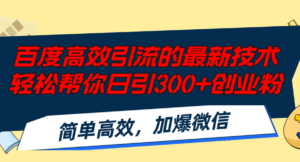 （12064期）百度高效引流的最新技术,轻松帮你日引300+创业粉,简单高效，加爆微信-网创资源
