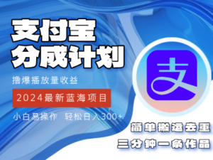 （12058期）2024蓝海项目，支付宝分成计划项目，教你刷爆播放量收益，三分钟一条作…-网创资源