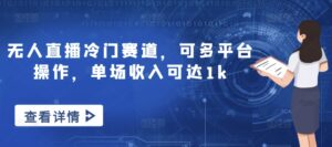 无人直播冷门赛道，可多平台操作，单场收入可达1k-网创资源