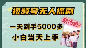 （12046期）视频号无人播剧，拉爆流量不违规，一天到手5000多，小白当天上手，多…-网创资源
