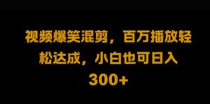 视频号零门槛，爆火视频搬运后二次剪辑，轻松达成日入1k【揭秘】-网创资源