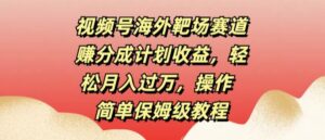 视频号海外靶场赛道赚分成计划收益，轻松月入过万，操作简单保姆级教程-网创资源