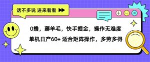 0撸，薅羊毛，快手掘金，操作无难度 单机日产30+ 适合矩阵操作，多劳多得-网创资源
