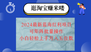 （12033期）2024淘宝蓝海红利项目，无脑搬运操作简单，小白轻松月入五位数，可矩阵…-网创资源