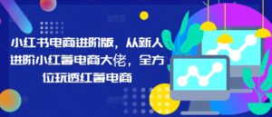 小红书电商进阶版，从新人进阶小红薯电商大佬，全方位玩透红薯电商-网创资源