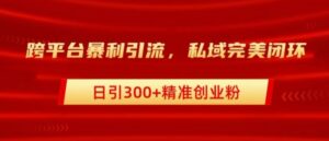 跨平台暴力引流，私域完美闭环，日引100+精准创业粉-网创资源