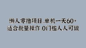 懒人零撸项目，单机一天60+适合批量操作，0门槛人人可做-网创资源