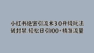 小红书绝密引流术3.0升级玩法，破封禁，轻松日引100+精准流量-网创资源