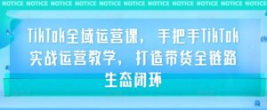 TikTok全域运营课，手把手TikTok实战运营教学，打造带货全链路生态闭环-网创资源